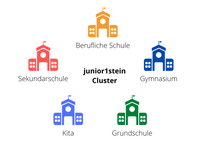 junior1stein-Cluster